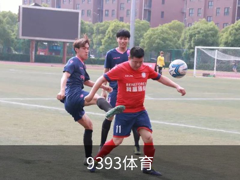 了解9393体育